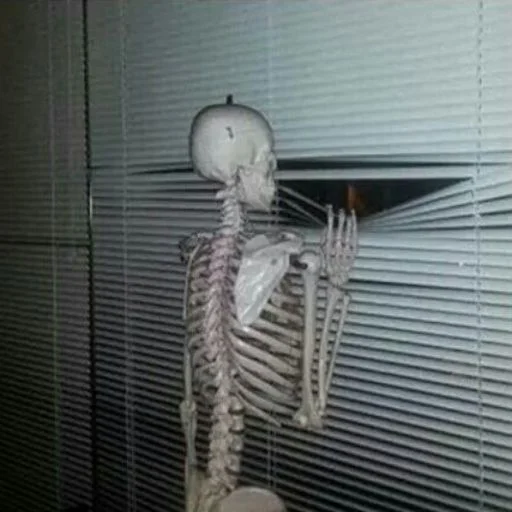 Sticker Cumherethereandhere - 1