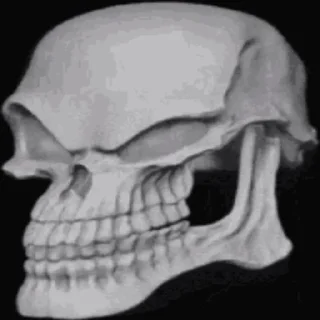 Sticker Cum @Otakuzdream - 5