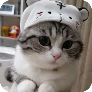 Стикер /create | @Comaru_stick - 2