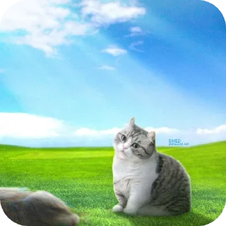 Стикер /create | @Comaru_stick - 3