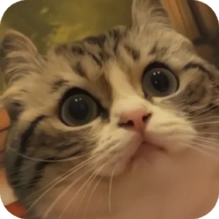 Стикер /create | @Comaru_stick - 4