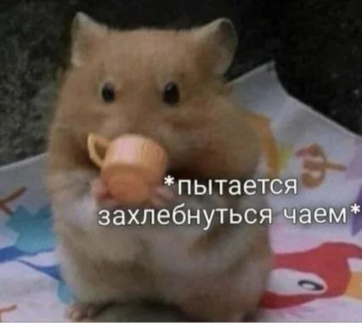 Sticker Curabitur - 1