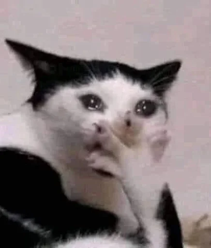 Стикер Curabitur - 1