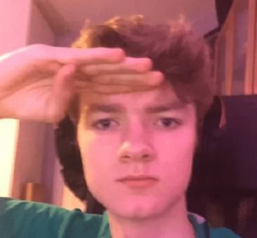 Человек человеческое лицо комнатный