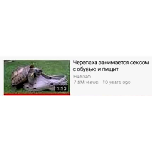 Sticker Cursed Turtles And Tortoises - 5