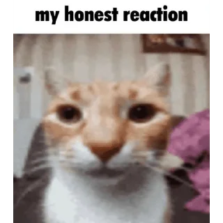 Sticker Стікери від кваса. - 6