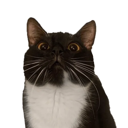 Sticker CusmosPack - 1