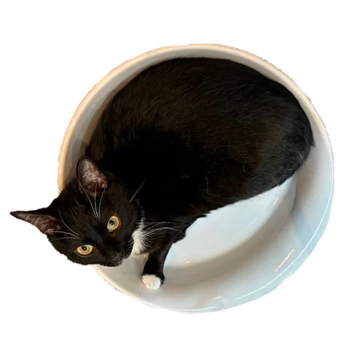 Стикер CusmosPack - 1