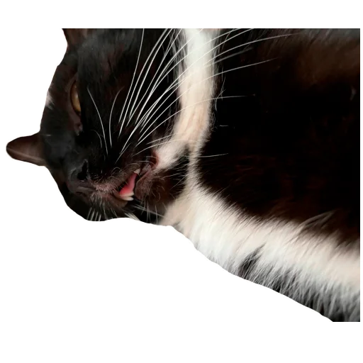 Стикер CusmosPack - 1