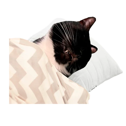 Sticker CusmosPack - 1