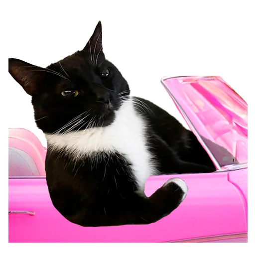 Стикер CusmosPack - 1