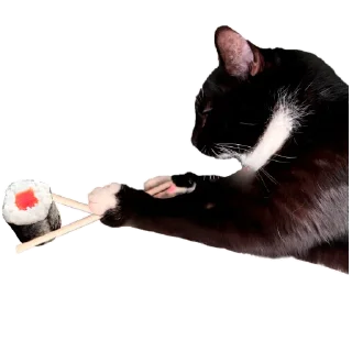 Sticker Кусьмос - 5