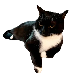 Sticker Кусьмос - 1