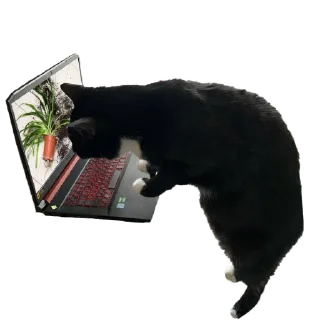 Sticker Кусьмос - 2