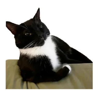 Sticker Кусьмос - 11