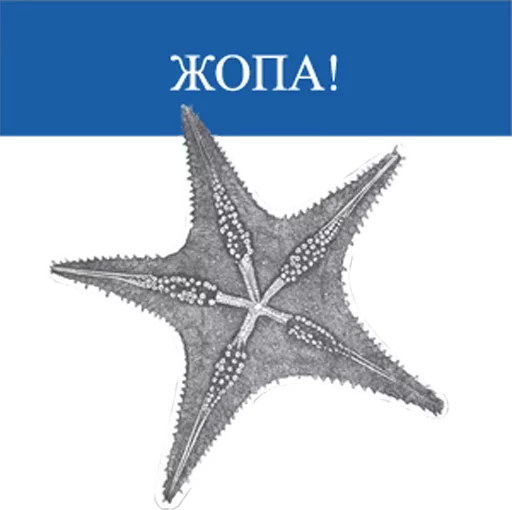 Стикер CustomByYta - 1