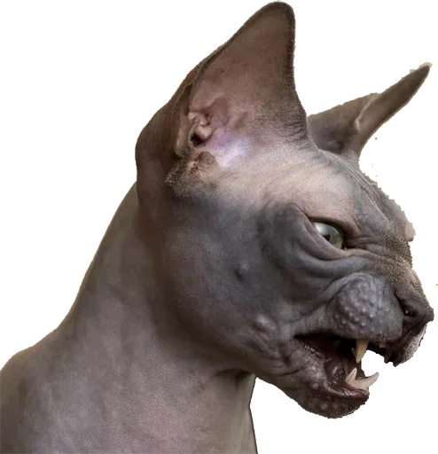 Стикер CustomByYta - 1