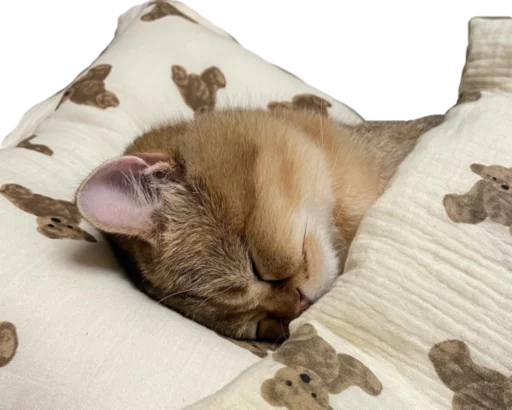 Стикер CuteByLmmnknV3 - 1