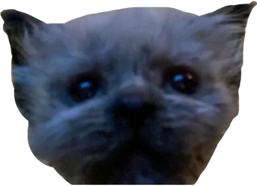 Sticker CuteByLmmnknV3 - 1