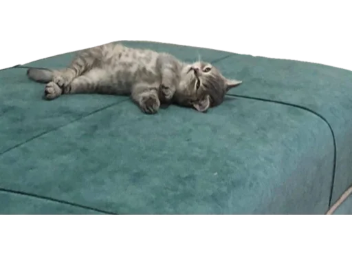 Sticker CuteByLmmnknV3 - 1