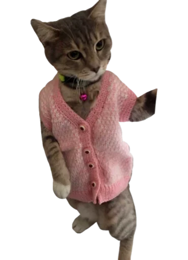 Sticker CuteByLmmnknV3 - 1