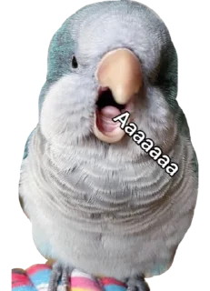 Sticker Cute_vol.3 - 8