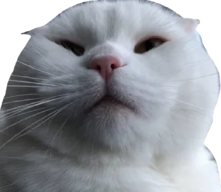 Sticker Cute_vol.3 - 6