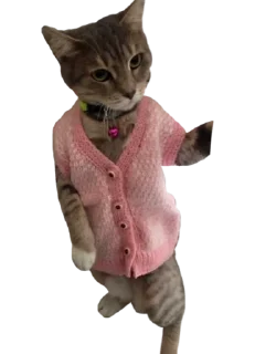 Sticker Cute_vol.3 - 9