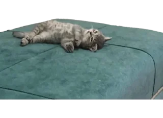 Sticker Cute_vol.3 - 10