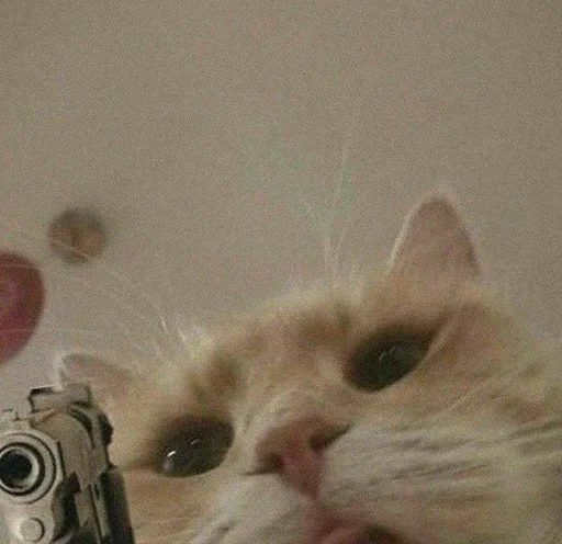 кошки малого и среднего размера млекопитающее кошачьи