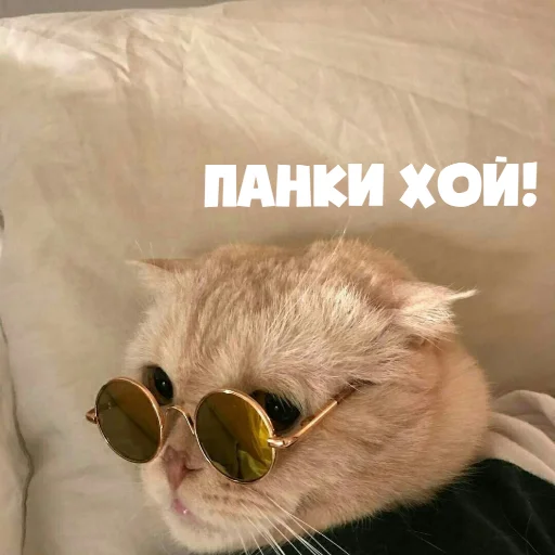 аксессуар животное кошки малого и среднего размера