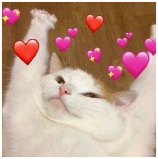 Наймиліші перемовини - 