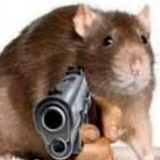 Sticker Cute Copies Of Judas - 9