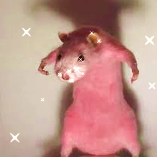 Sticker Cute Copies Of Judas - 8