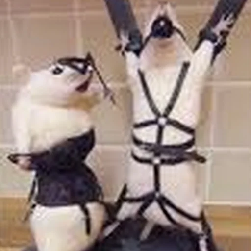 Sticker Cute Copies Of Judas - 7