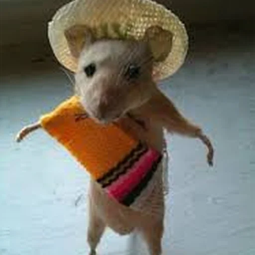 Sticker Cute Copies Of Judas - 5