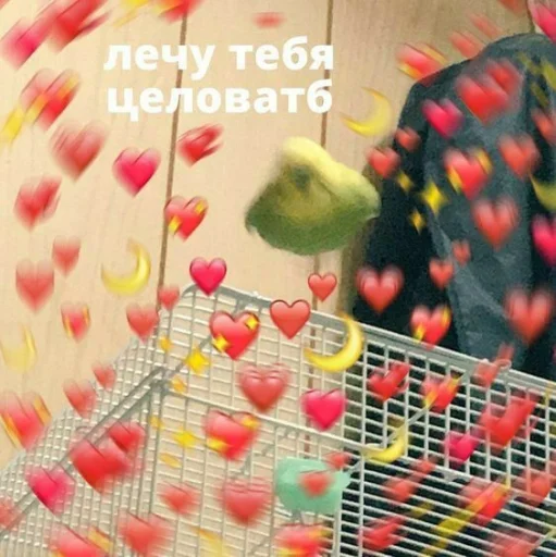 Sticker CuteParrotsMeme - 1