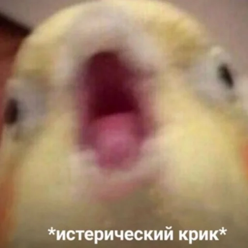 Стикер 𖡒 - 1