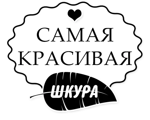 СМС шрифт графика