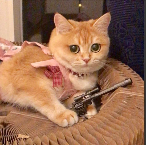 Sticker CUTEST KITTINS PACK EVER - 10