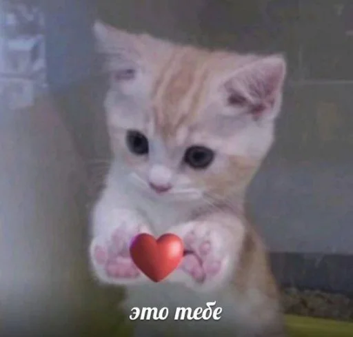 Sticker CutestStickersLuvvv_by_moe_sticker_bot - 1