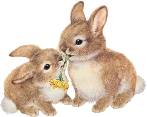 Sticker милые стики - 6