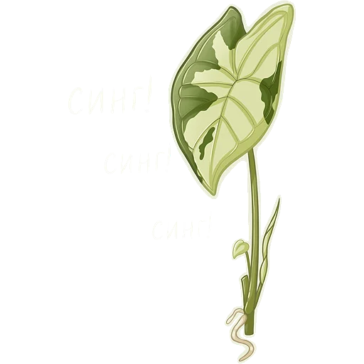 Черенки @sketch_lis - 