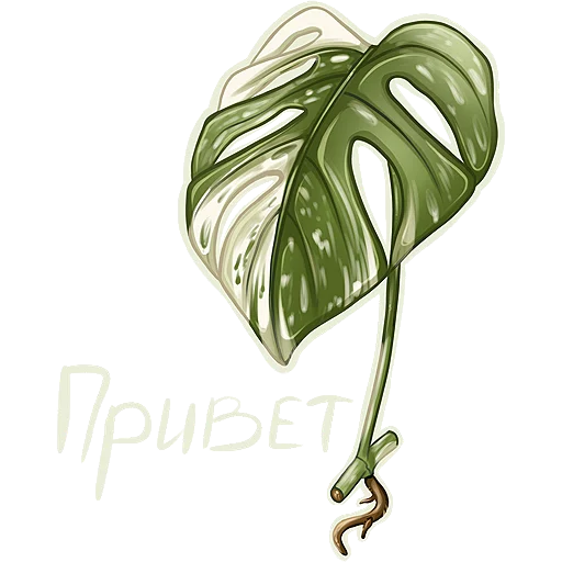 Sticker Cuttings_lis - 1