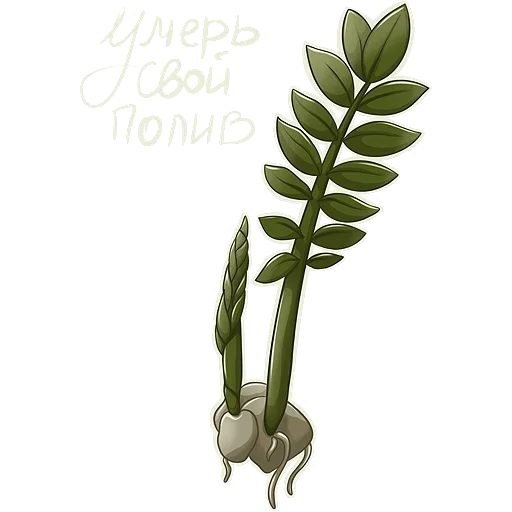 Sticker Cuttings_lis - 1