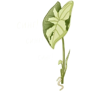 Sticker Черенки @sketch_lis - 3