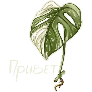 Sticker Черенки @sketch_lis - 2