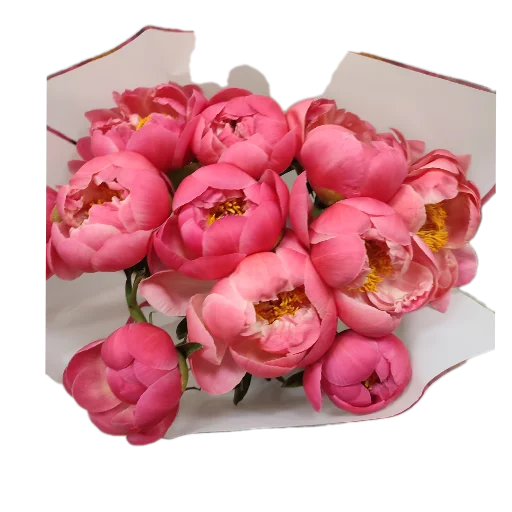 Стикер Cvety7338 - 1