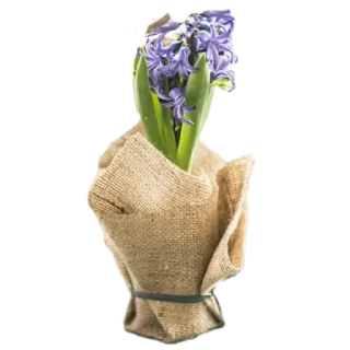 Sticker Цветы - 1