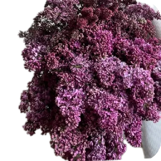 Sticker Цветы - 7